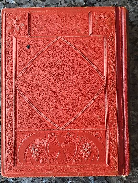 Libri: Bibel L C Businger Leben Jesu um 1873 – Usato da Zürich venduto da mechanixall 1