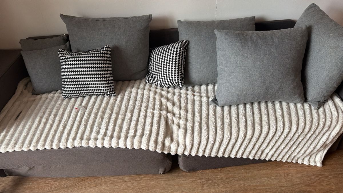 Sofas: Schlafsofa mit Kissen – Gebraucht aus Hasliberg Goldern von joa_jbg5