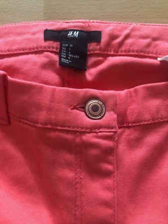 Rosa Hose