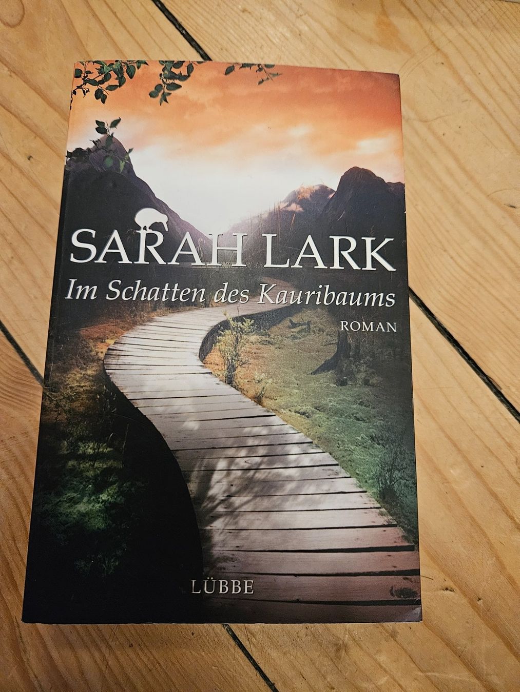 Libri: 3x Sarah Lark Bücher. – Usato da Winterthur venduto da rahelmedeaL 1