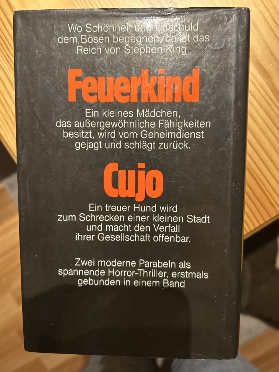 Libri: Stephen King: Feuerkind / Cujo – Usato da Brunnen venduto da Liluzick 1