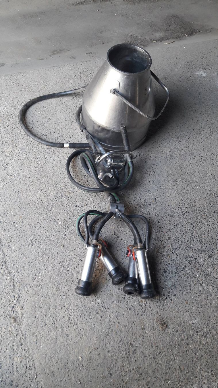 Westfalia Tutte le macchine: Melkmaschine Westfalia nummer 2 – Usato da Laufen venduto da Mann455 3