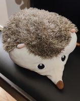 Igel Plüschtier mit integrierter Decke, 2-in-1 Kuscheltier