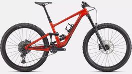 Specialized Enduro Mountainbike Grösse S3
