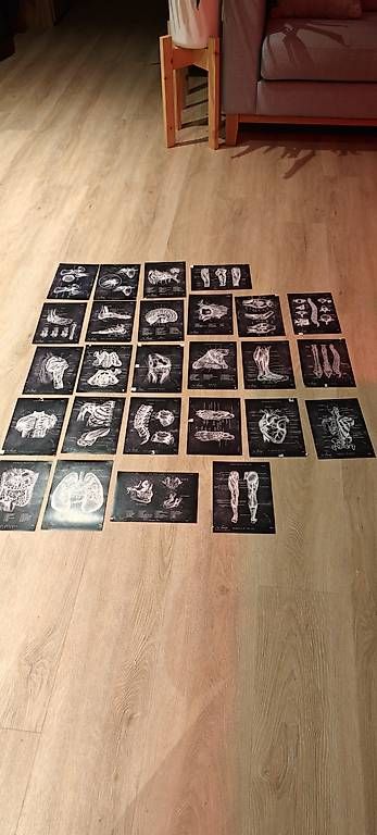 Foto & Immagini: Animus Medicus - Anatomie Bilder – Usato da Altstätten SG venduto da ItobelixI 4