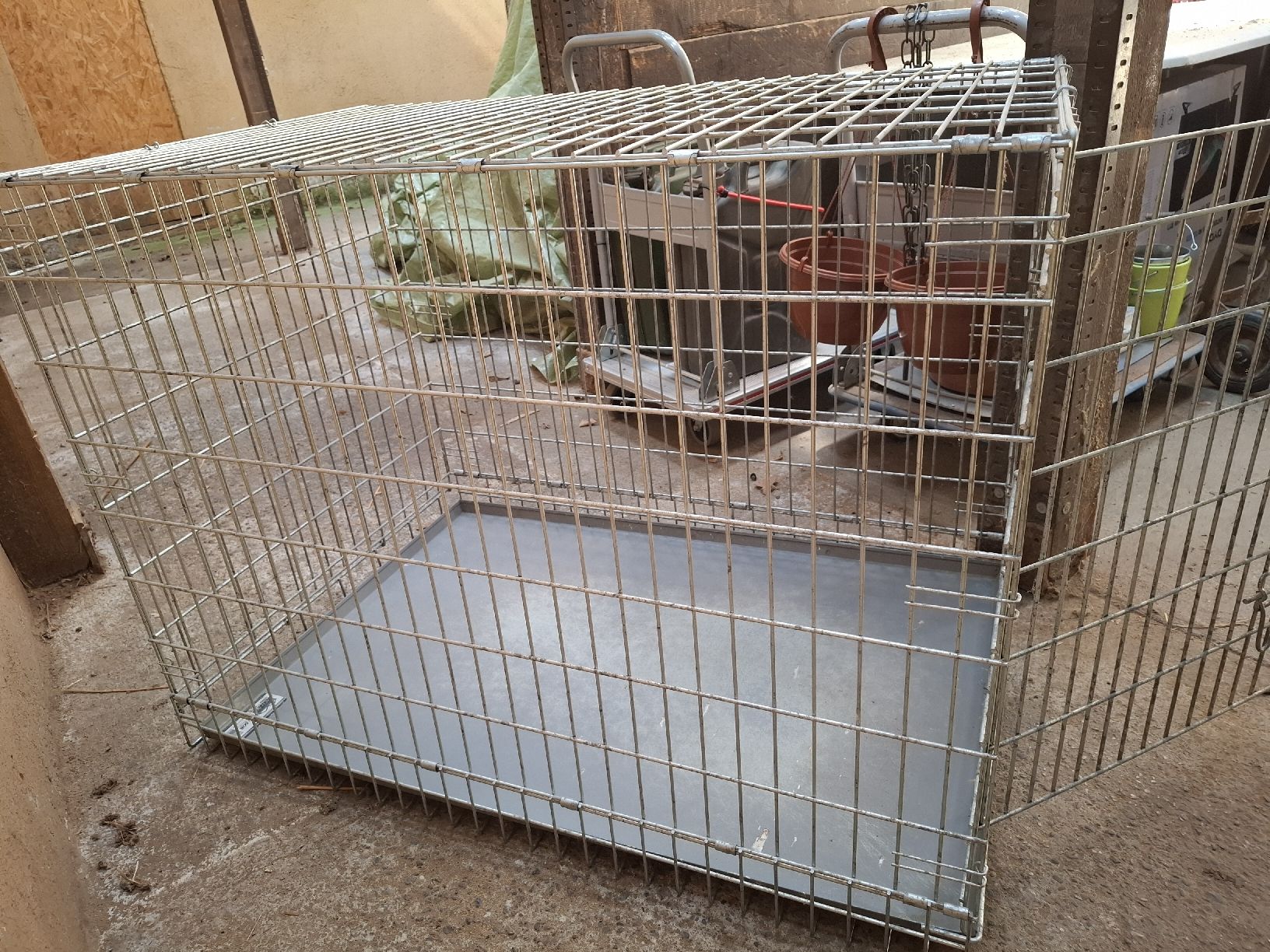 Käfige, Transport & Sicherheit: Hundeboxe – Gebraucht aus Birmenstorf AG von kildareeins 3