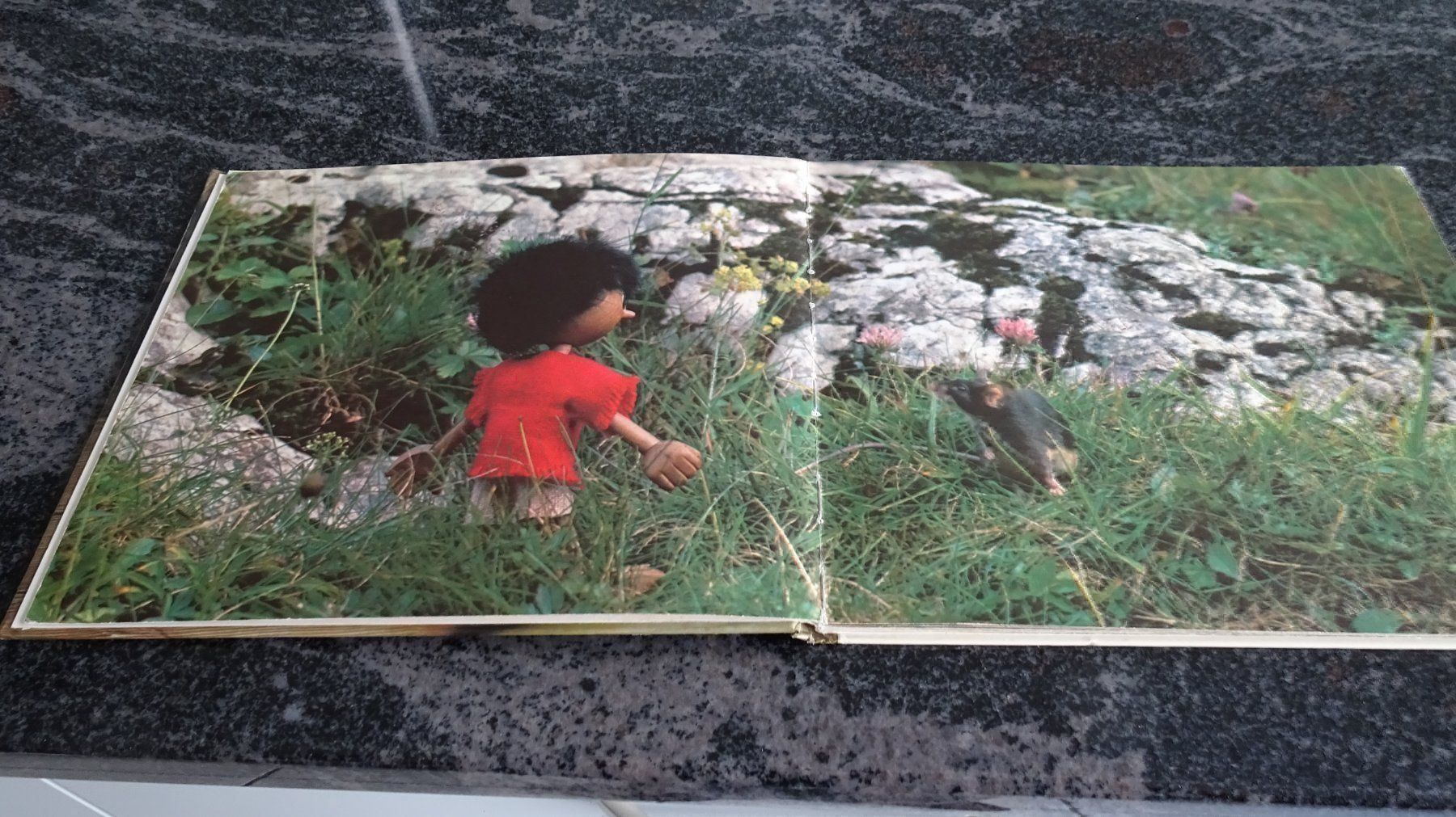 Libri: BASIK AUF DER ALP  JAHR 1979 – Usato da Zürich venduto da Roulet 5