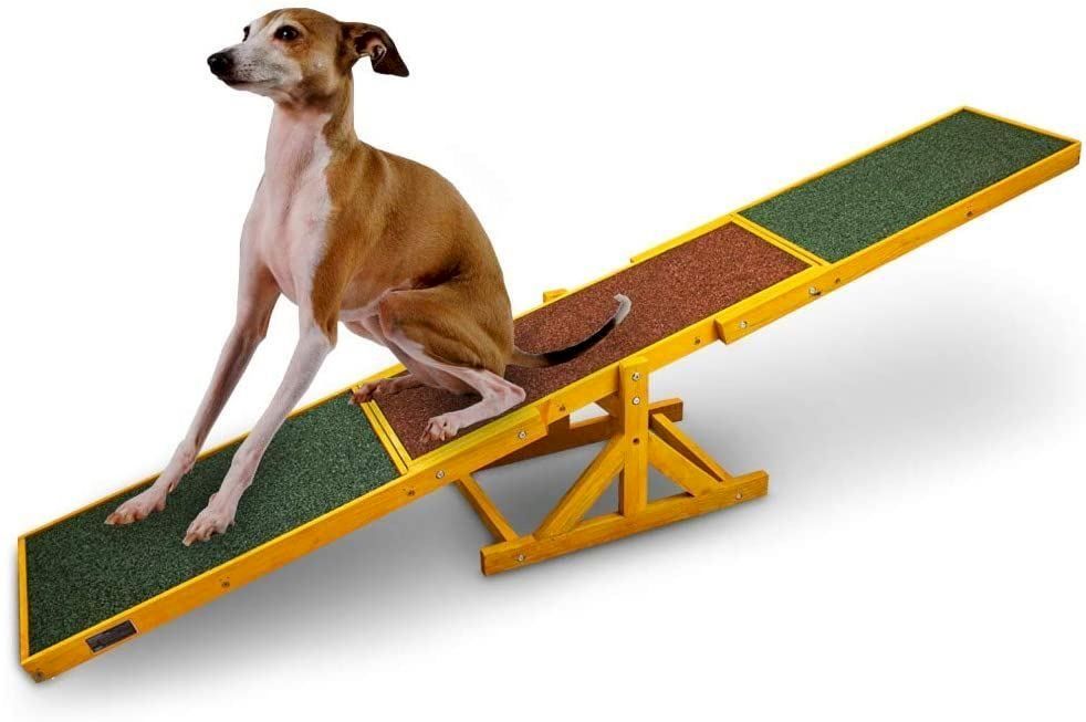 Abbigliamento: BITUXX Hundewippe Agility Training – Nuovo e nell'imballaggio originale da Bottighofen venduto da zaap