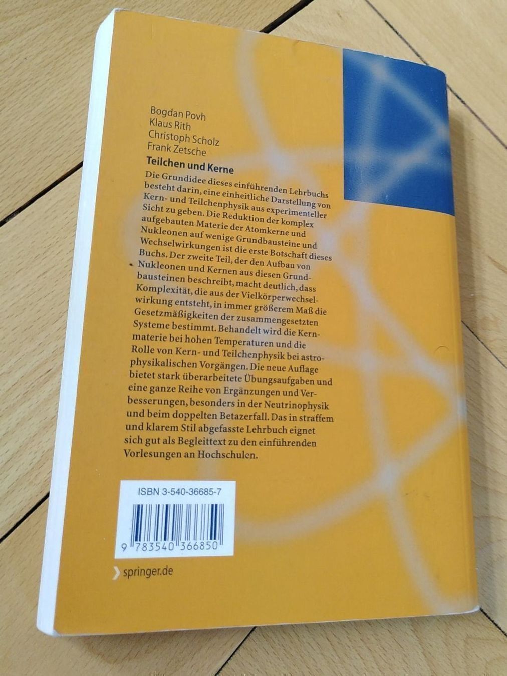 Libri: Povh, Rith, et al: Teilchen und Kerne – Usato da St. Gallen venduto da Wysi 1