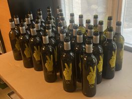 40 leere Flaschen AMIC mit aufgedrucktem Victory - Logo