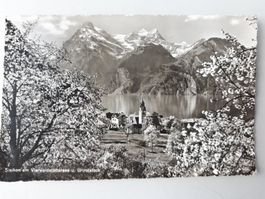 Postkarte Sisikon  mit Urirotstock 1958