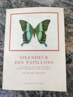 1951 - Splendeur des papillons - Colette - Plon 12 planches