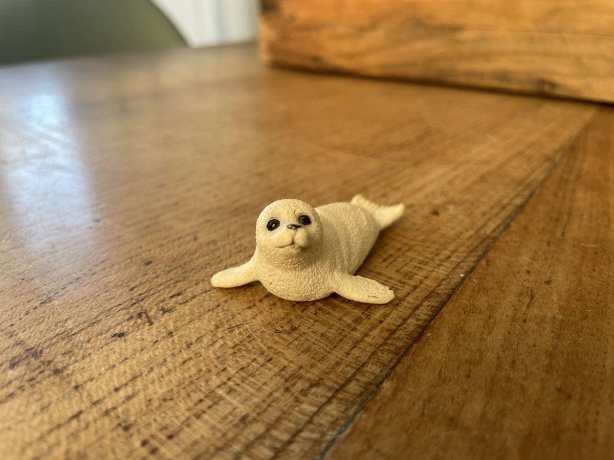 Schleich Giocattoli: Schleich Robbenbaby – Usato da Bonstetten venduto da soleillle