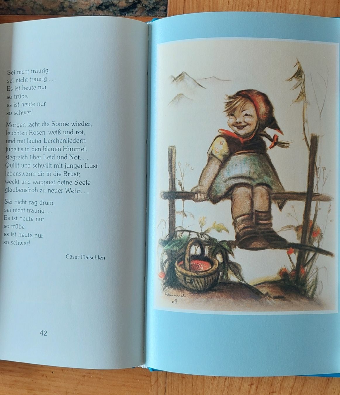 Livres: Bücher  – Neuf (Voir description) à Zizers par Pinot55 5
