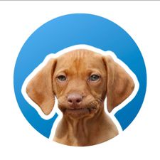 Profile image of TomQTom