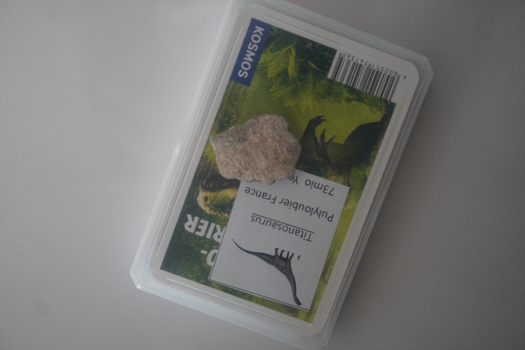 Fossilien: Titanosaurus Eierschale  73mio  Mit  Quartett   "Dinofan" – Neu und originalverpackt aus Eschenbach SG von craniums