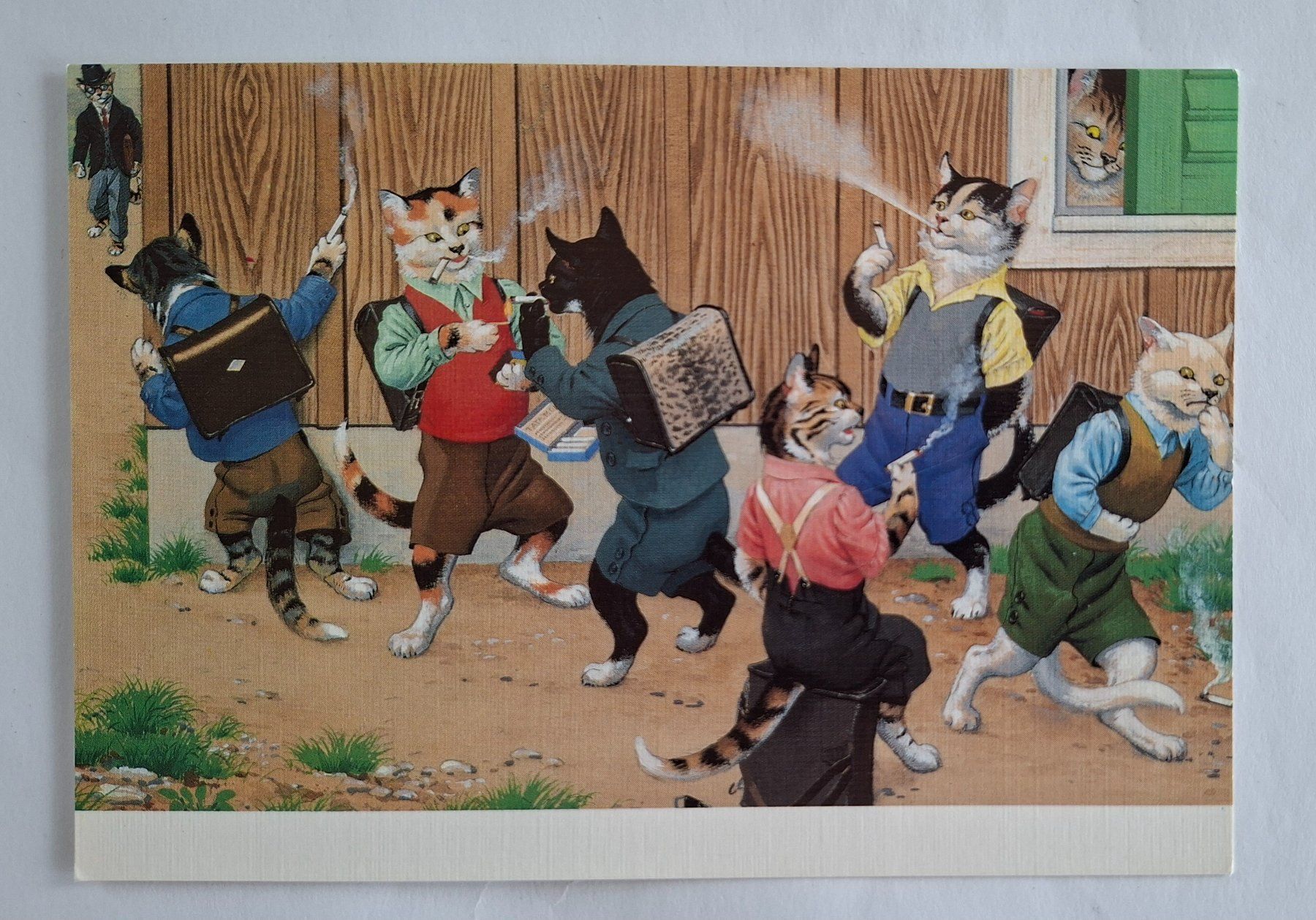 Cartes postales: AK Katzen Katzenkarte Nr. 233 – D'occasion à Opfikon par Diversamente