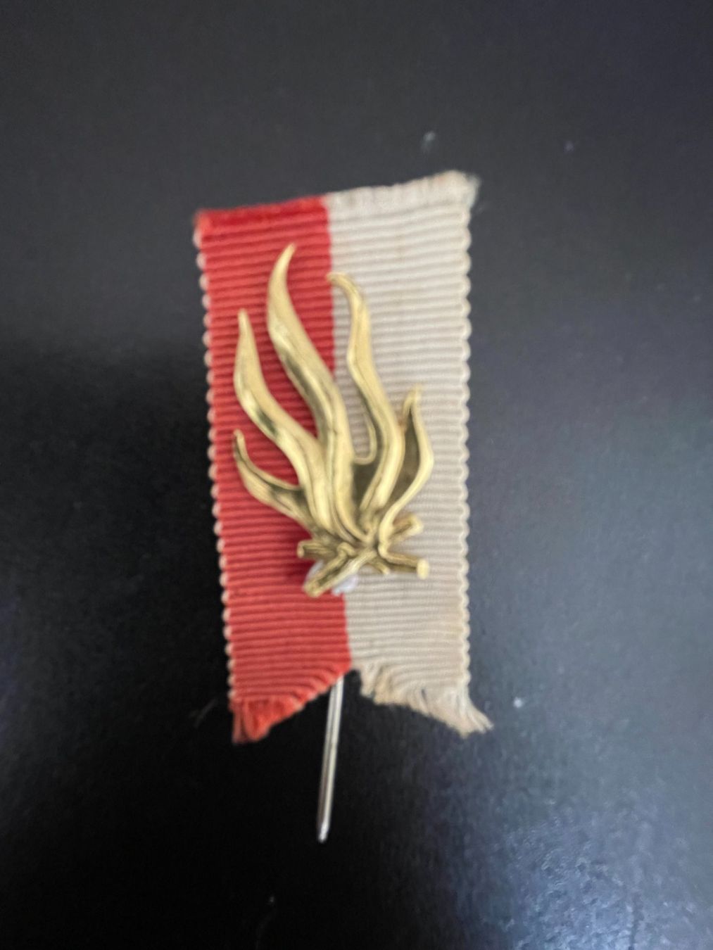 Placchette & Badge: 1. August-Abzeichen 1960 – Usato da Thal venduto da Danny82