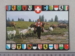Sellamatt, Alpidyll, Ziegen, Kühe, Kantonswappen, Glocken
