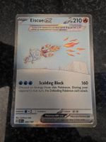 Eiscue EX 222/197