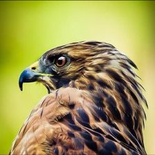 Profile image of rasmus67