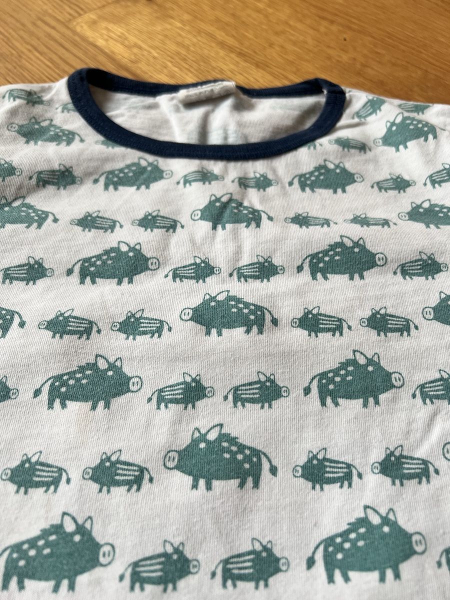 Maglioni & Felpe: loud&proud, Langarmshirt, Gr. 110/116 – Usato da St. Gallen venduto da aljaba 1