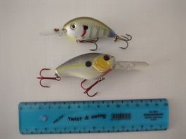 Crankbait Duo - Gekauft bei Bass Pro Shop