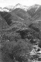 Cavergno e Bignasco (TI) Vallemaggia Panorama alpino 1965 G