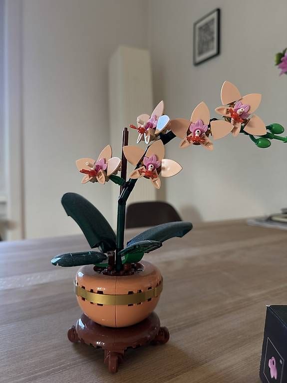 Lego Kit di costruzioni: Lego Mini Orchid Botanicals – Nuovo e nell'imballaggio originale da Zürich venduto da rxxel