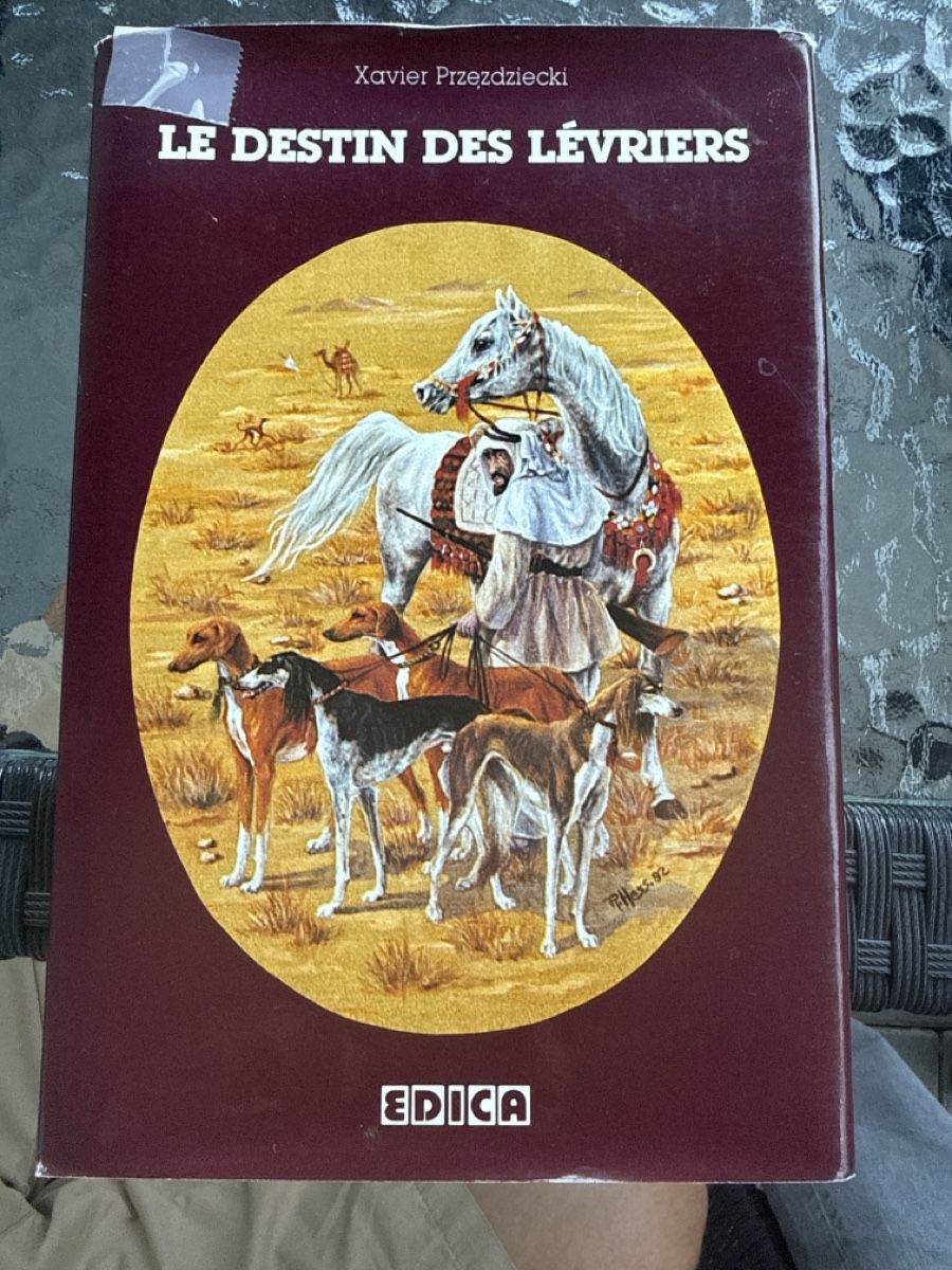 Libri:  LE DESTIN DES LEVRIERS 1984  – Usato da Winterthur venduto da edo_2ztw