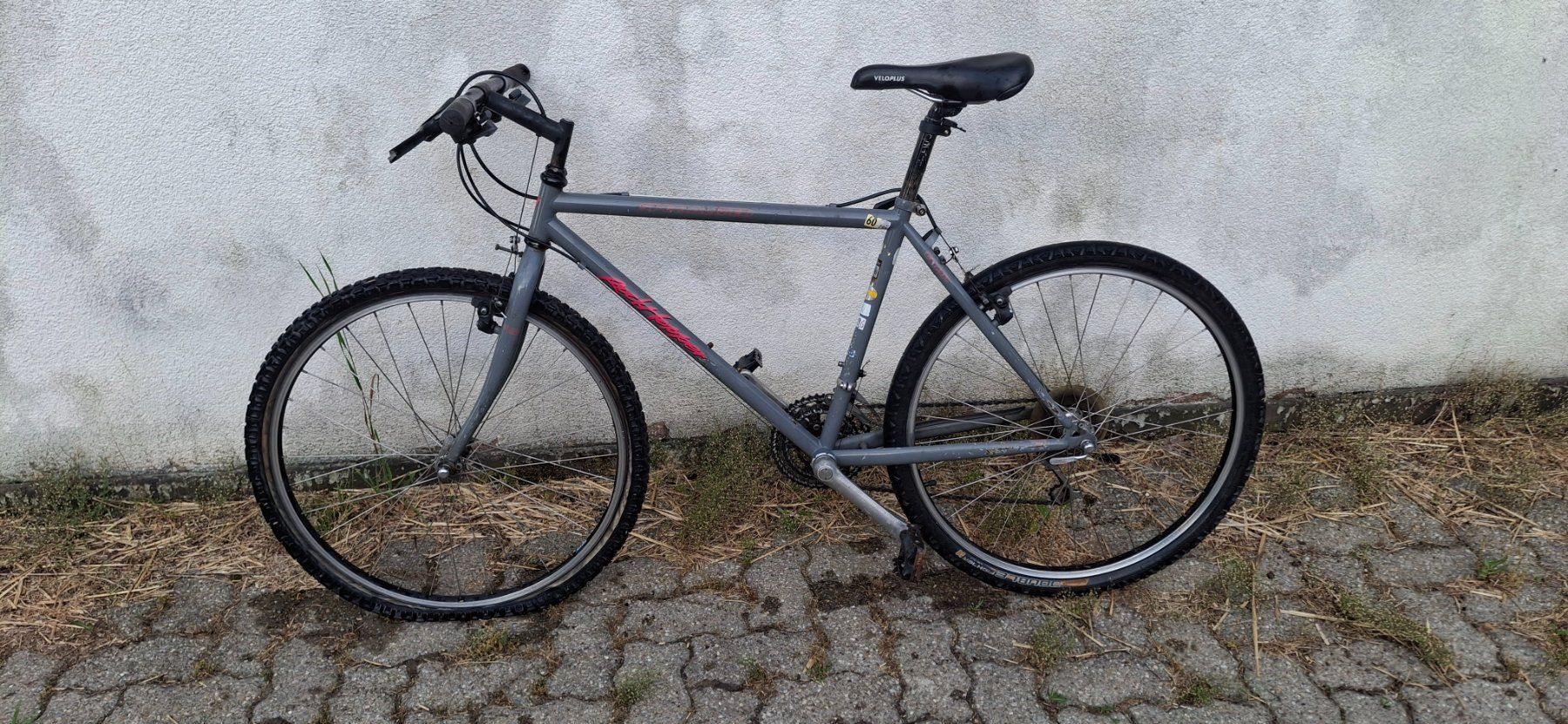 Velos: Kult Mtb Specialized Rock Hopper – Defekt aus Kyburg von JBMNT2020 2