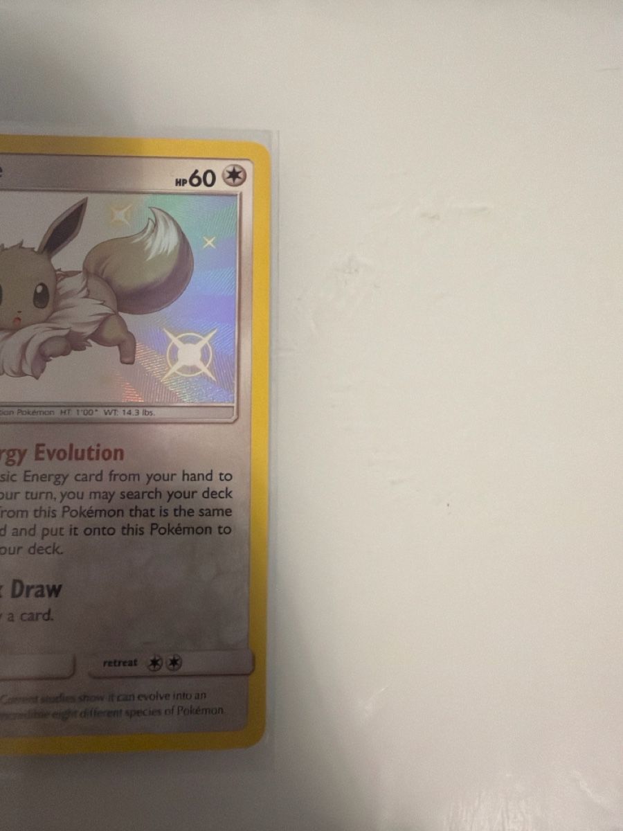 Cartoline: Pokemon Eevee Card Mint Hidden fates – Nuovo (secondo la descrizione) da Bäch SZ venduto da tuy_tv9y 2