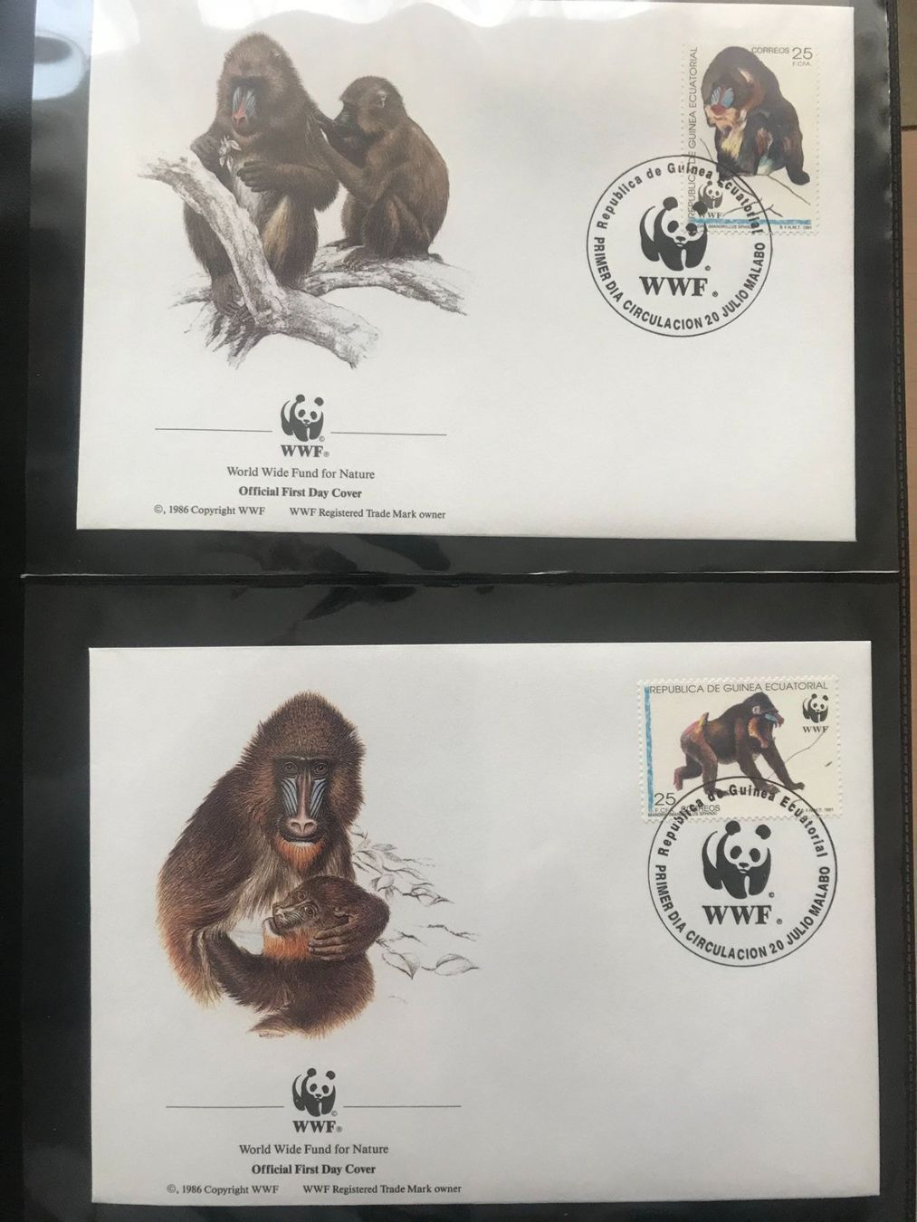 Tutti i francobolli: WWF Äquatorialguinea 1991 Mandrill Satz Ersttagsbriefe – Nuovo (secondo la descrizione) da Winterthur venduto da schnueps