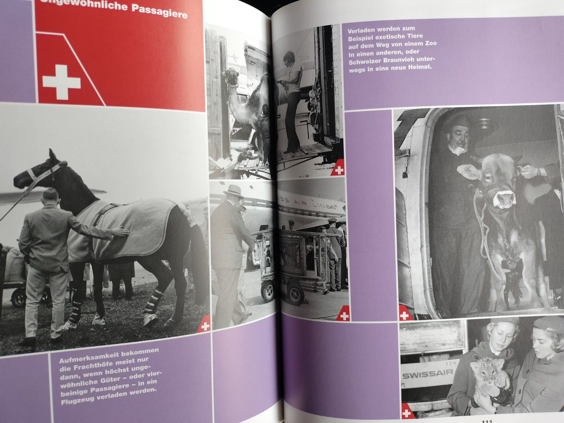 Libri: Swissair Buch – Usato da Schwanden Sigrisw venduto da len_9yqg 5