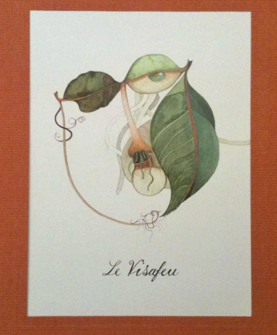 Libri: L' herbier imaginaire – Nuovo (secondo la descrizione) da Vevey venduto da yve_7dpw 4
