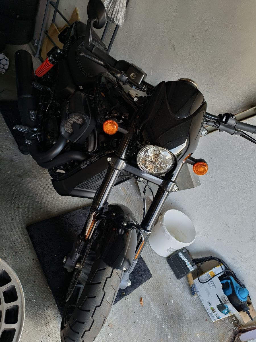 Harley-Davidson Strada: Harley Davidson Street Rod 750 – Usato da Derendingen venduto da Moschin 4