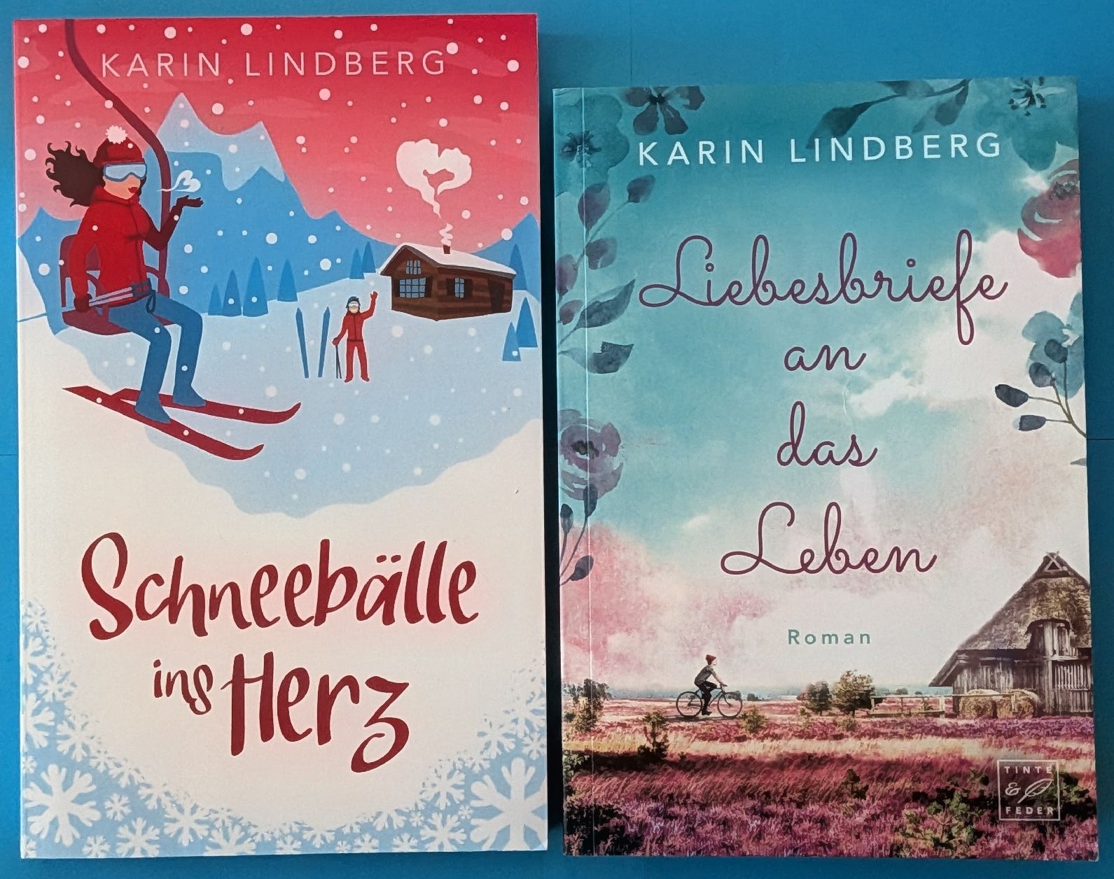 Livres: Karin Lindberg: 4 Romane - Undercover verliebt – D'occasion à Aesch BL par Charles2018 3