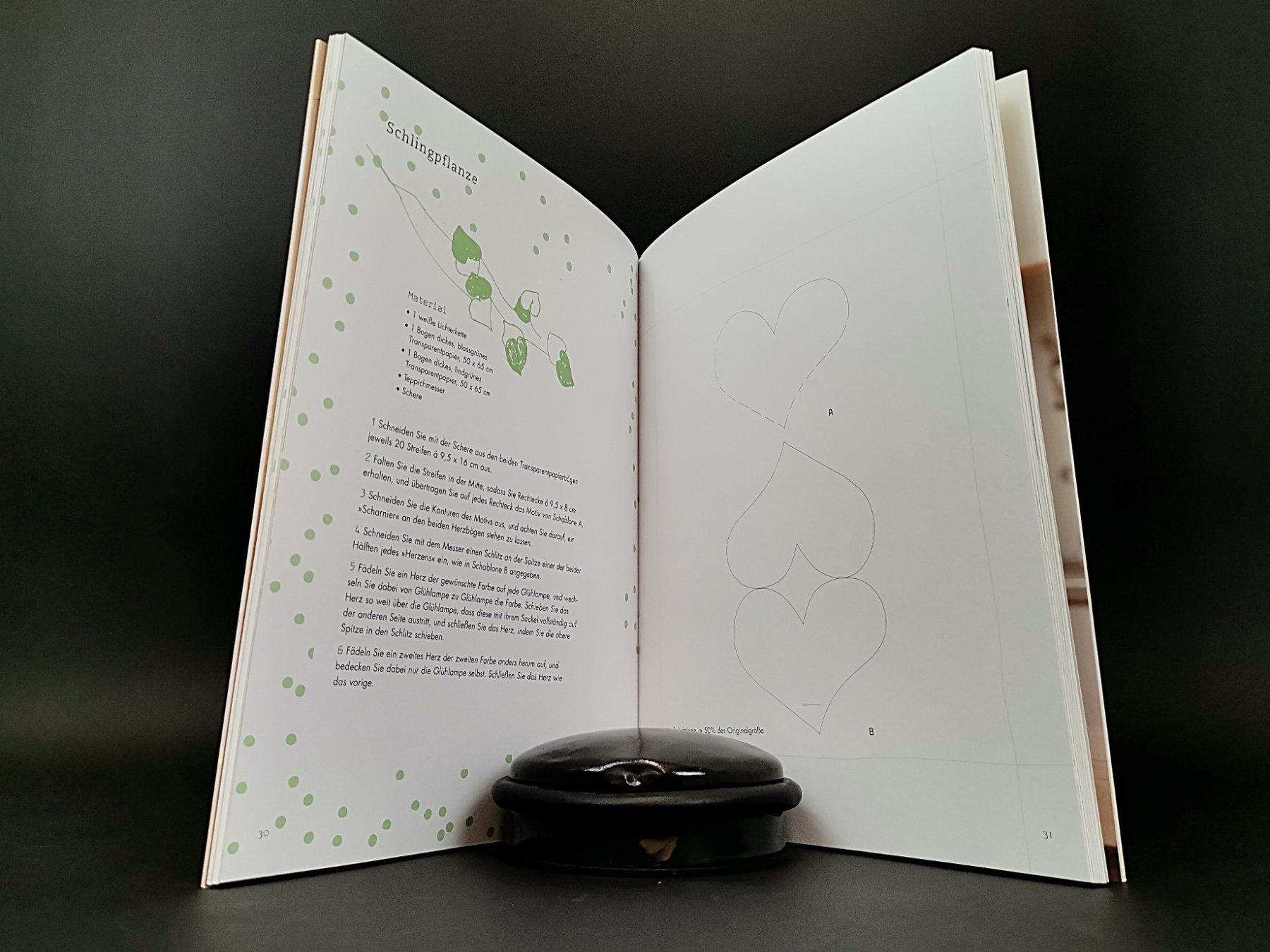 Libri: BUCH Lichtgirlanden – Usato da Schaffhausen venduto da Restwert_SH 5
