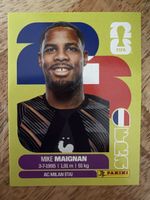 Panini FRA 2