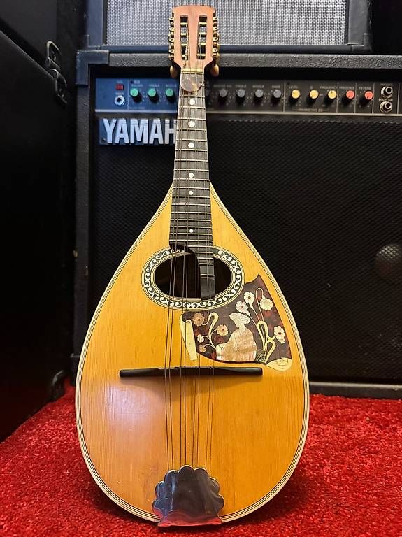 Strumenti musicali: Mandoline  – Usato da Embrach venduto da CarlosTF 1