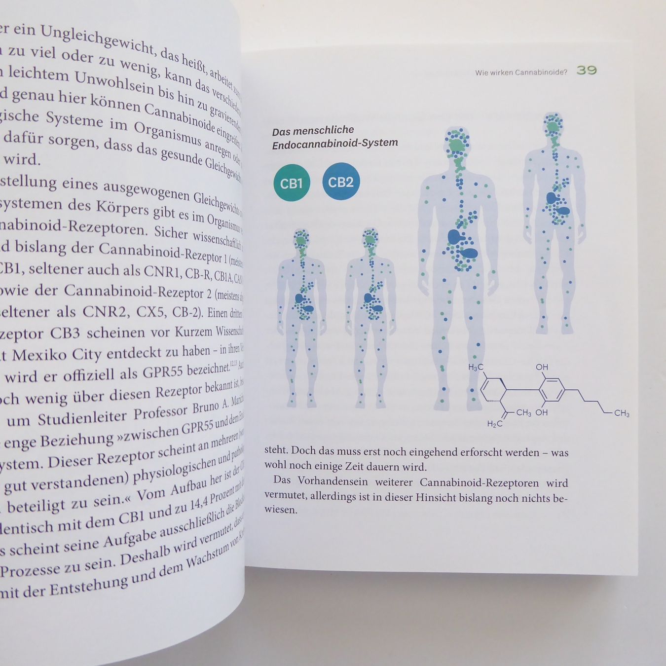 Libri: Natürlich heilen mit Cannabis – Usato da Basel venduto da Kunterbunt12 9