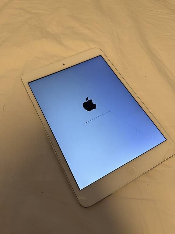 Apple Tablet PC: Apple iPad mini 2 mit Retina (A1489) – Usato da Zürich venduto da giacomowho 2