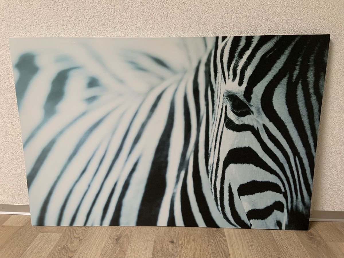 Foto & Immagini: Leinwandbild mit Zebra – Usato da Tafers venduto da Helgi5