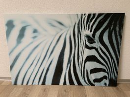 Leinwandbild mit Zebra