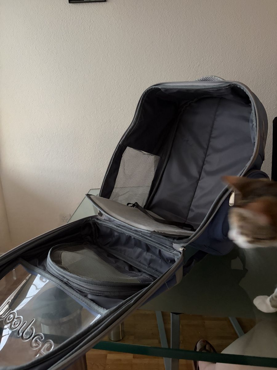 Sacs: Katzentransportrucksack – Neuf (Voir description) à Emmenbrücke par dylan_esteban19 7