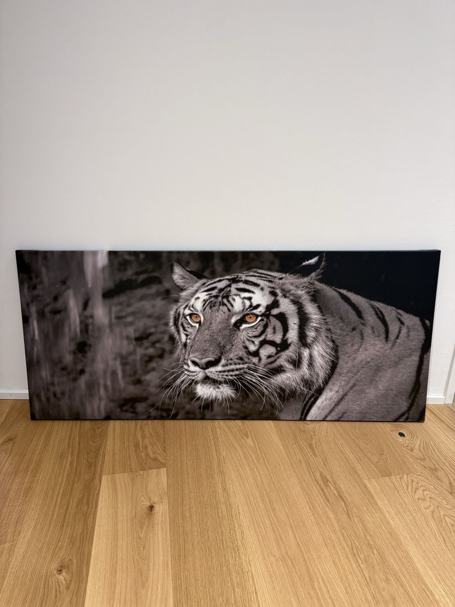 Poster & Bilder: Bild Tiger Schwarz Weiss - Leinwand – Neu (gemäss Beschreibung) aus Dielsdorf von Ale_Cop