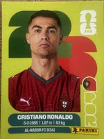POR15 Panini Sticker