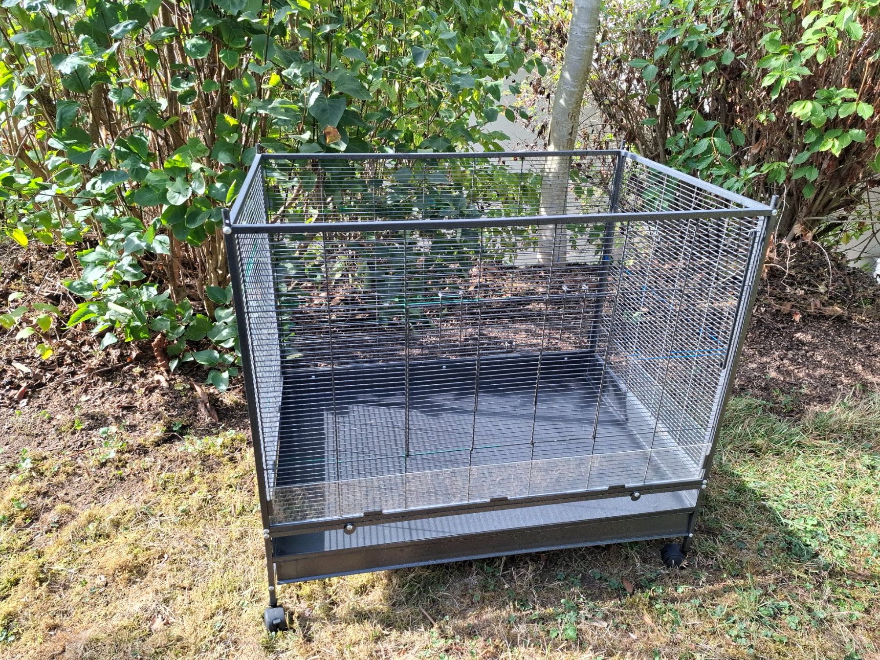 Gabbie, trasporto & Sicurezza: Vogelkäfig – Usato da Mönchaltorf venduto da rimo11 3