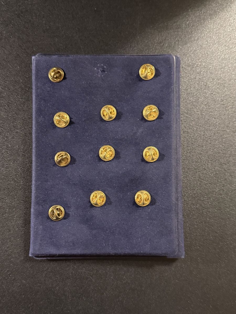 Swiss Plaketten & Abzeichen: ASF/SAV 94 collection complète pins - état neuf – Gebraucht aus SION von MARCO-P-SION 4