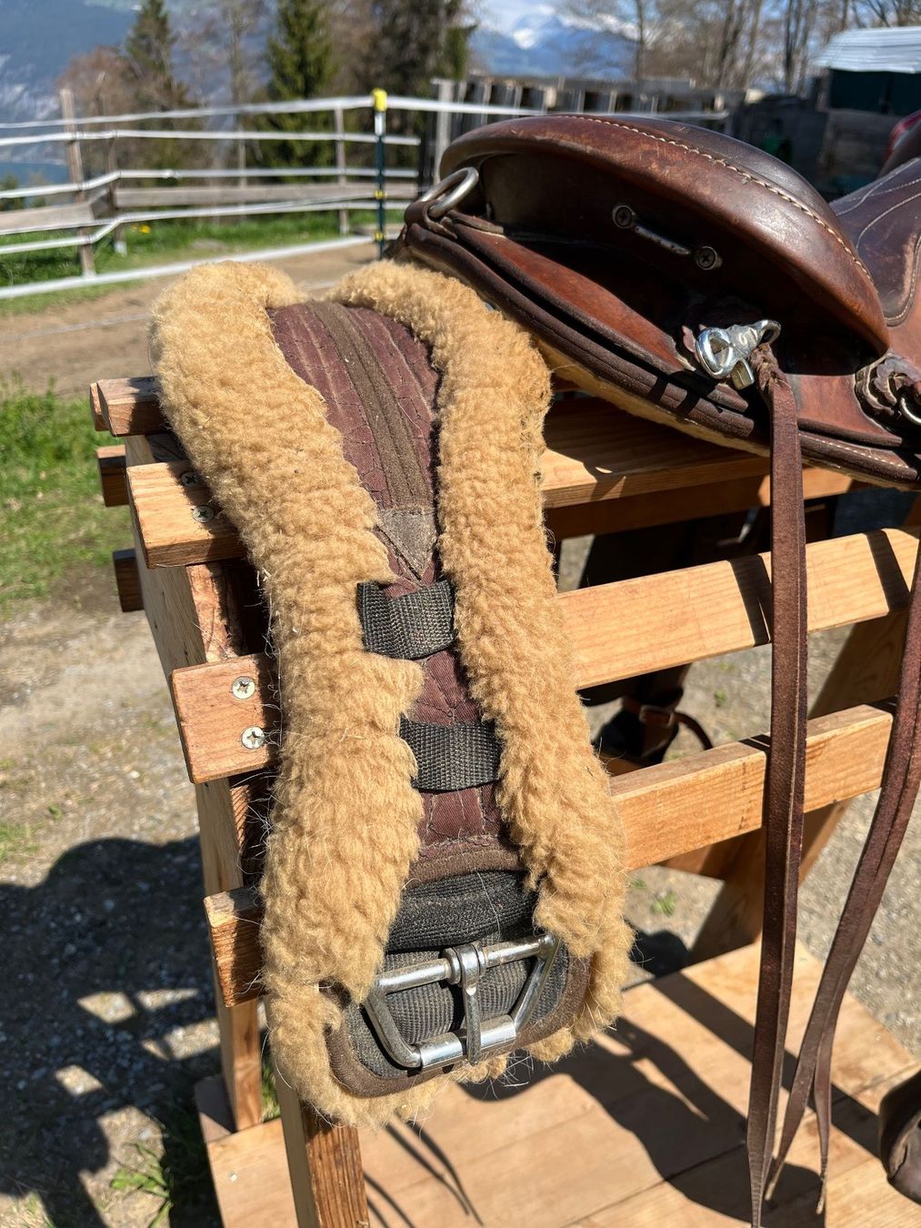 Selle & Accessori: Westernsattel Sharon Saare – Usato da Spiez venduto da Hekjiani 3